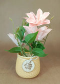 The Potted Succulents (Yellow Base) - IT1223