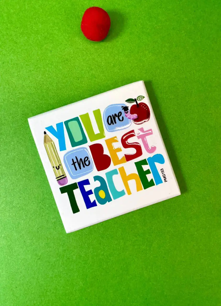 You Are The Best Teacher Fridge Magnet - PMG153