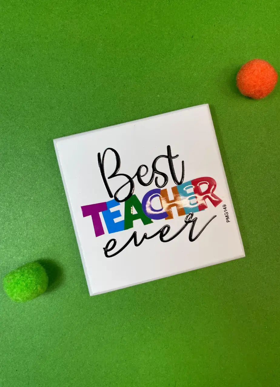 Best Teacher Ever Fridge Magnet - PMG149